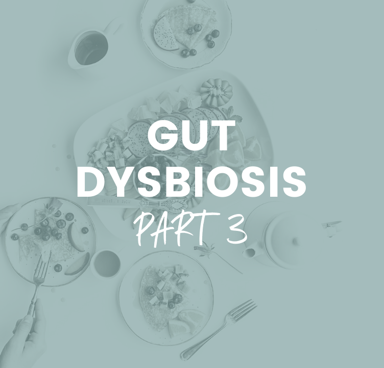 Gut Dysbiosis - Part 3
